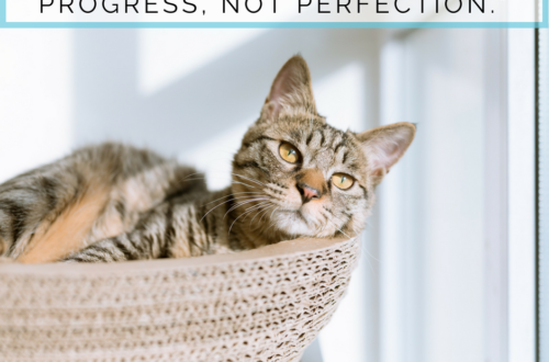 The Beginner's Guide to Zero-Waste Pet Care: Progress Not Perfection