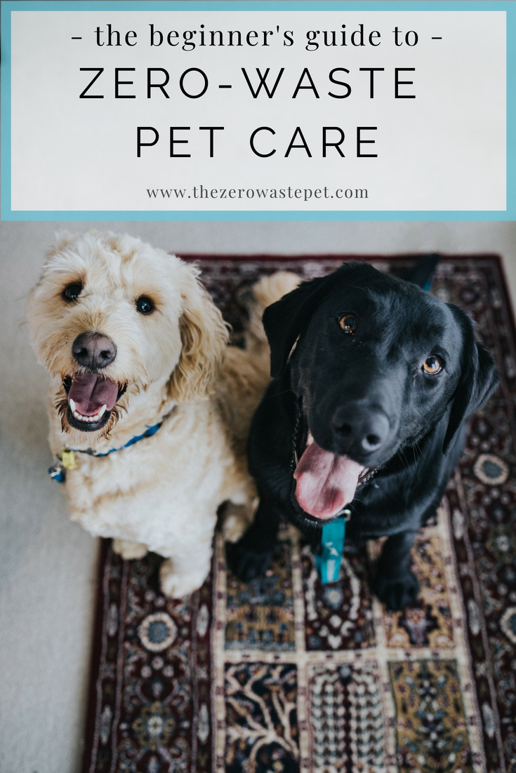 The Beginner's Guide to Zero-Waste Pet Care