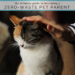 Becoming a Zero-Waste Pet Parent_ Everything you need to know to lessen your impact on the planet