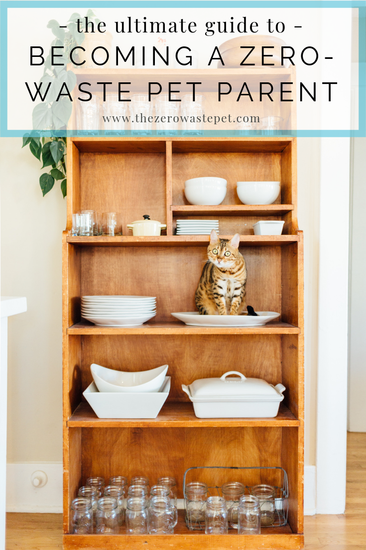 The Ultimate Guide to Becoming a Zero-Waste Pet Parent