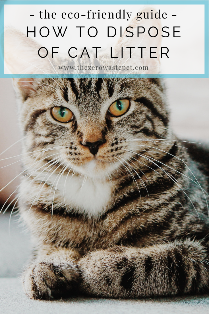 How to Dispose of Cat Litter_ The Ultimate Guide to Eco-Friendly Pet Waste Management (Part 1)