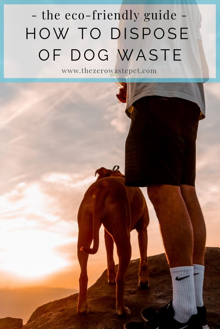 How to dispose of dog waste: The ultimate guide to eco-friendly pet waste management 