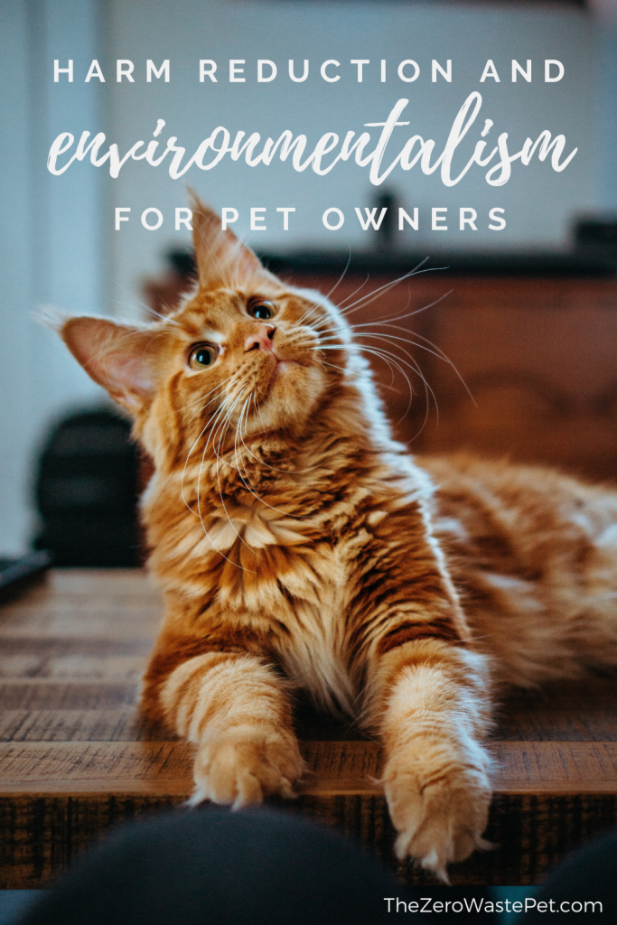 An orange cat sits on a brown table. His head is turned to the side, looking curious. The text overlay reads: Harm reduction and environmentalism for pet owners